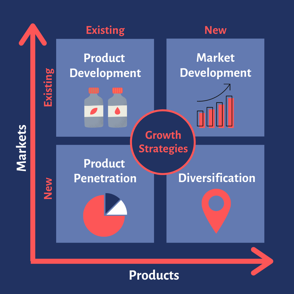 Business Growth Strategy Examples